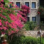Hotel Zeytinada 4*