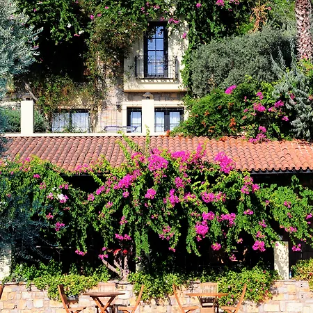 酒店 泽依提那达酒店