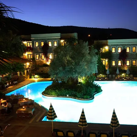 酒店 泽依提那达酒店 4*