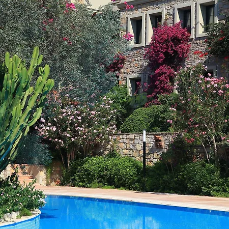 泽依提那达酒店 酒店 托尔巴