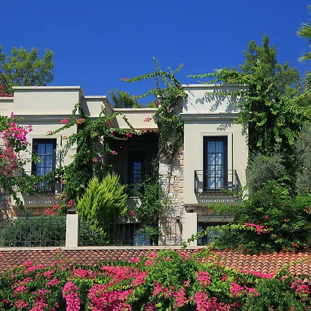 泽依提那达酒店