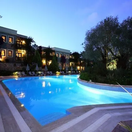 泽依提那达酒店 酒店 4*