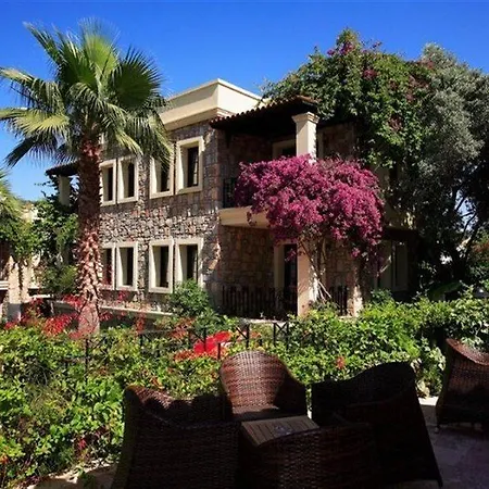 泽依提那达酒店 托尔巴