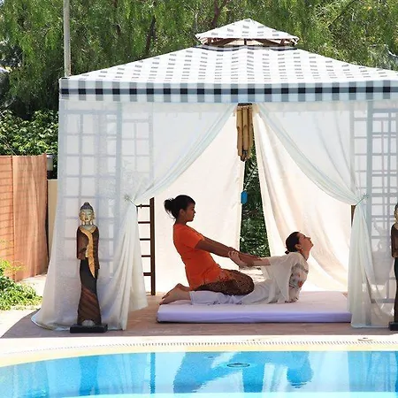 酒店 泽依提那达酒店 4*