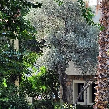 Hotel Zeytinada Torba