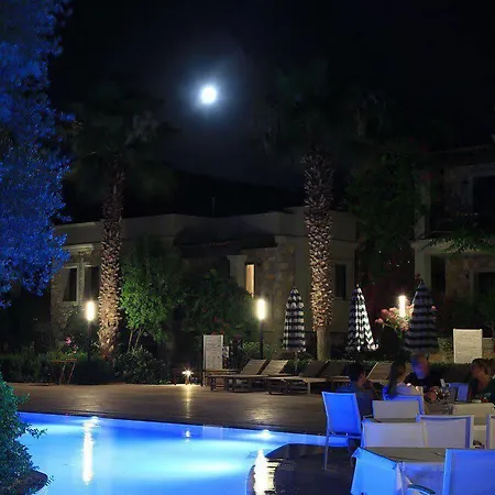 泽依提那达酒店 托尔巴