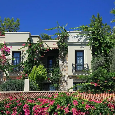 Zeytinada Otel