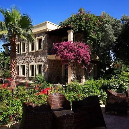 Zeytinada 4* Torba