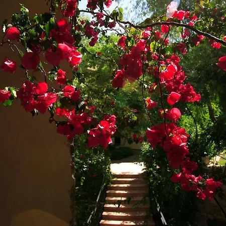 호텔 Zeytinada 토르바