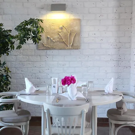 Zeytinada 4* Torba
