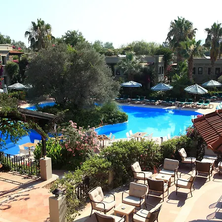 Zeytinada 4* 토르바