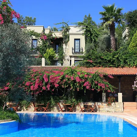 Zeytinada 4* Torba
