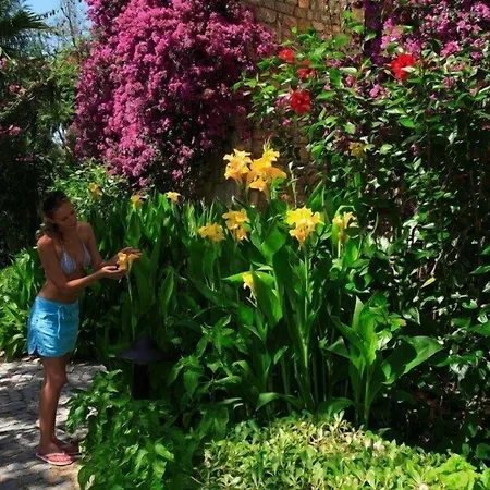 Zeytinada 4* Torba