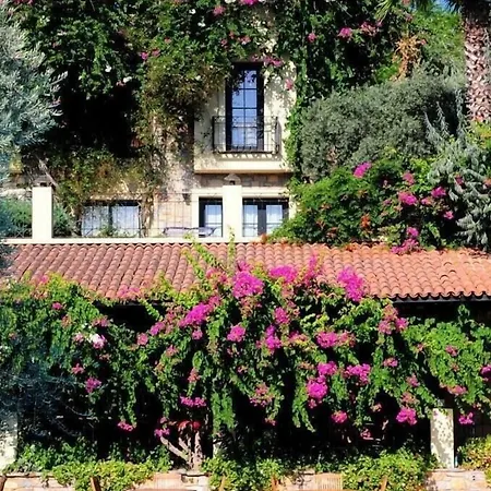 Zeytinada Torba