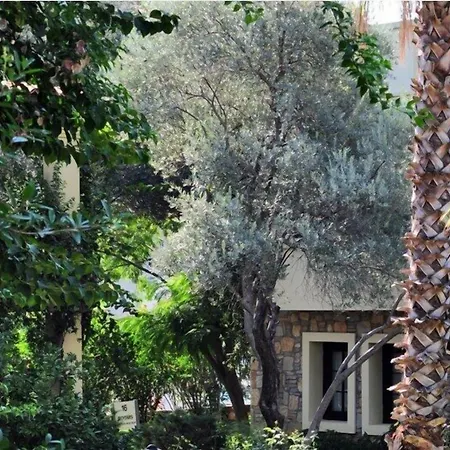 Otel Zeytinada Torba