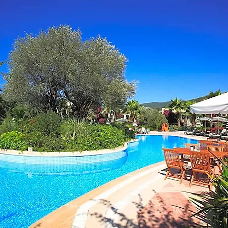 Hotel Zeytinada 4*