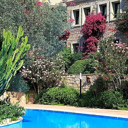 Zeytinada 4* Torba