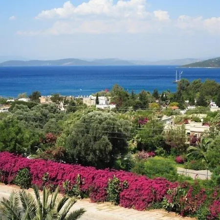 Zeytinada
