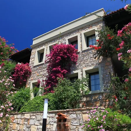 호텔 Zeytinada 토르바