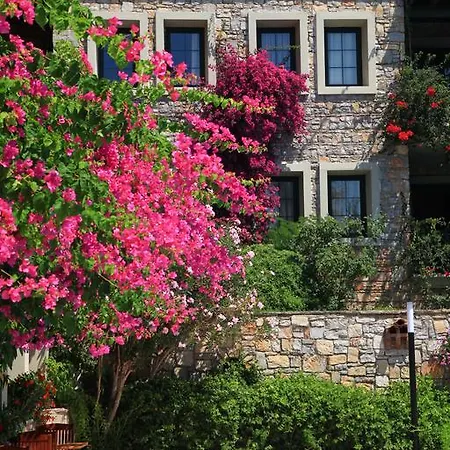 Otel Zeytinada 4*