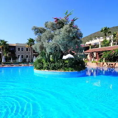 호텔 Zeytinada 토르바